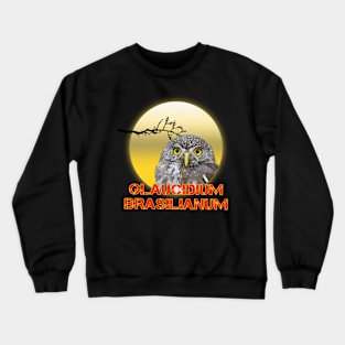 glaucidium brasilianum Crewneck Sweatshirt